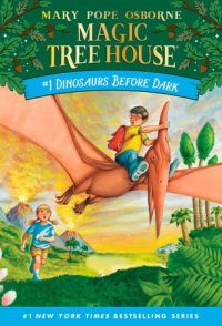 Illustrated book cover of young boy flying on winged dinosaur while little girl runs after him.