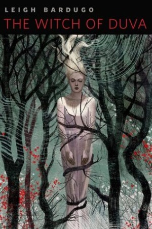 The Witch of Duva Book Cover for The Witch of Duva