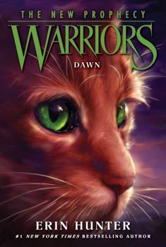 Book Cover for Dawn