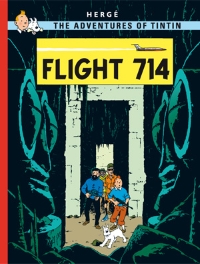 Book Cover for Flight 714