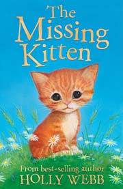 Book Cover for The Missing Kitten