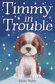 Book Cover for Timmy in Trouble