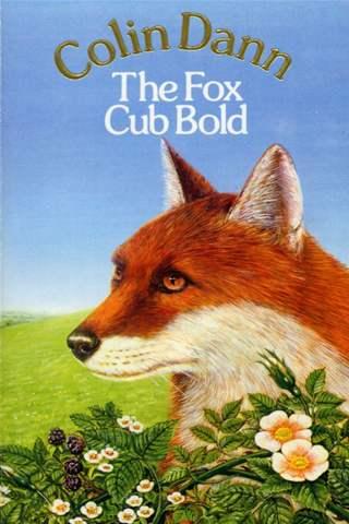 Book Cover for The Fox Cub Bold