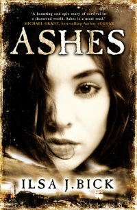 Book Cover for Ashes