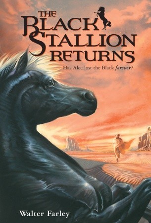Book Cover for The Black Stallion Returns