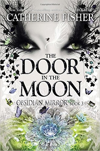 Book Cover for The Door in the Moon