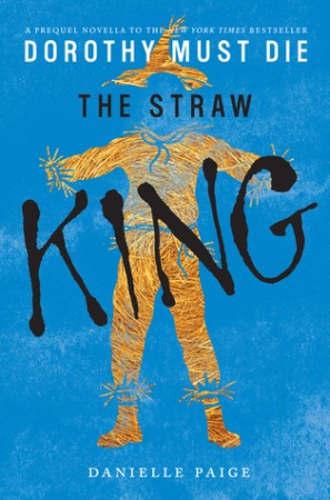 Book Cover for The Straw King