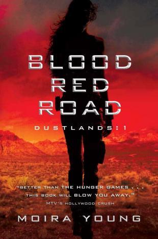 Book Cover for Blood Red Road