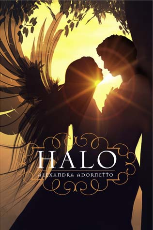 Book Cover for the Halo Series