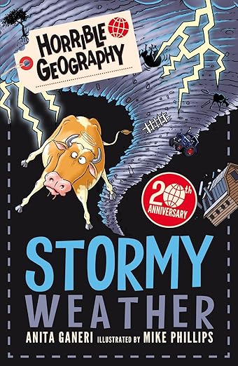 Book Cover for Stormy Weather