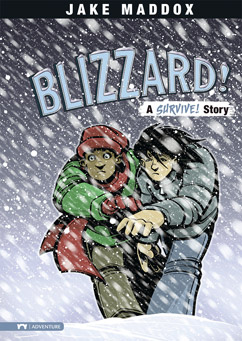 Book Cover for Blizzard! A Survive! Story