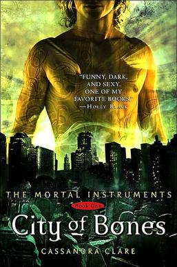 Book Cover for the Mortal Instruments Series