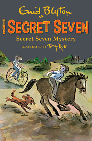 Book Cover for Secret Seven Mystery