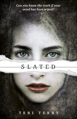 Book Cover for the Slated Series