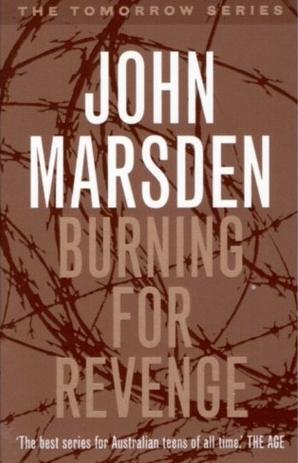 Book Cover for Burning for Revenge