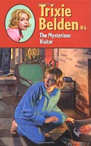 Book Cover for The Mysterious Visitor