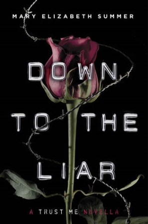 Book Cover for Down to the Liar