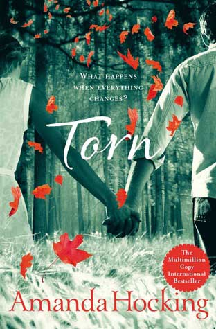 Book Cover for Torn
