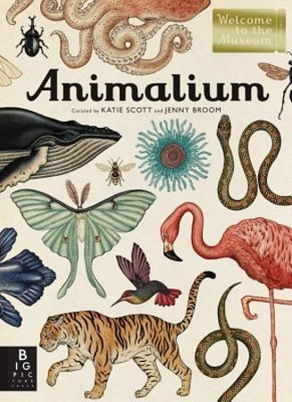 Book Cover for Animalium