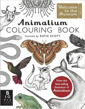 Book Cover for Animalium Colouring Book