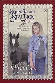 Book Cover for Young Black Stallion