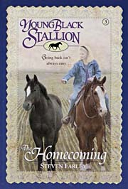 Book Cover for The Homecoming